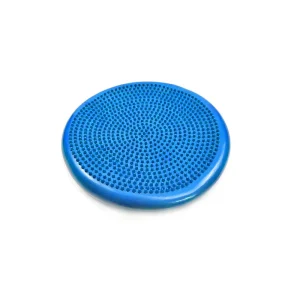 Therapeutic Balance Cushion