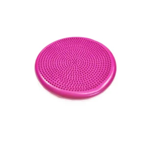 Therapeutic Balance Cushion Pink